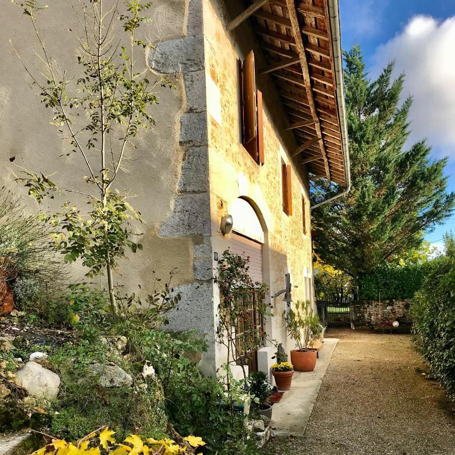 Le Pipapo Apartment Saint-Martin-de-Bavel ภายนอก รูปภาพ