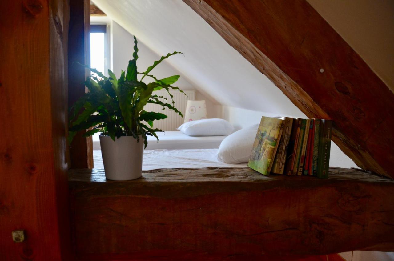 Le Pipapo Apartment Saint-Martin-de-Bavel ภายนอก รูปภาพ